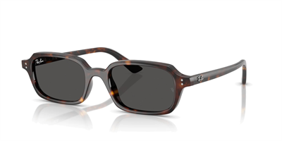 RAY-BAN 4455-49 135987 Güneş Gözlüğü