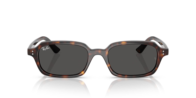RAY-BAN 4455-49 135987 Güneş Gözlüğü