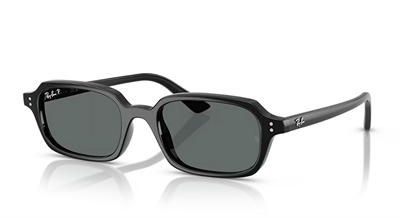 RAY-BAN 4455-49 667771 Güneş Gözlüğü