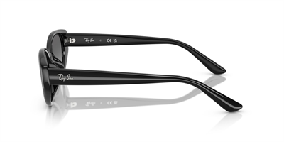 RAY-BAN 4457-55 667711 Güneş Gözlüğü