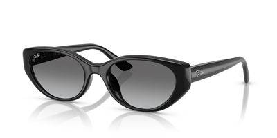 RAY-BAN 4457-55 667711 Güneş Gözlüğü