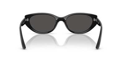RAY-BAN 4457-55 667787 Güneş Gözlüğü