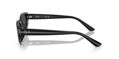 RAY-BAN 4457-55 667787 Güneş Gözlüğü