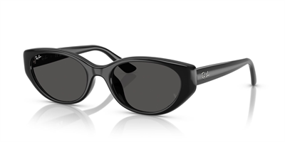 RAY-BAN 4457-55 667787 Güneş Gözlüğü