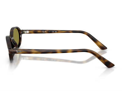 RAY-BAN 4472-48 1359/2 Güneş Gözlüğü