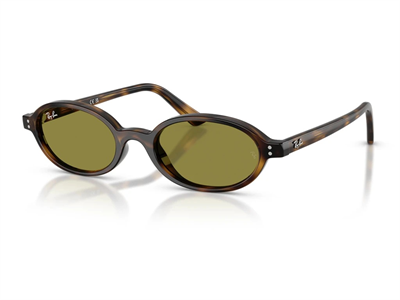 RAY-BAN 4472-48 1359/2 Güneş Gözlüğü
