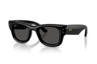 RAY-BAN 4940-50 601/87 Wayfarer Puffer Güneş Gözlüğü
