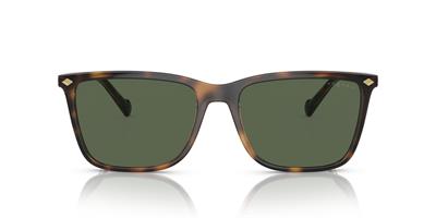 VOGUE 5493S-56 27189A Erkek Güneş Gözlüğü