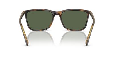 VOGUE 5493S-56 27189A Erkek Güneş Gözlüğü