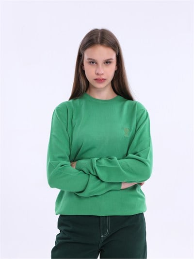 Ami Yeşil Kazak