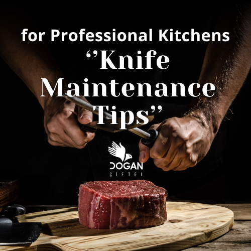 Knife Maintenance Tips for Professional Kitchens