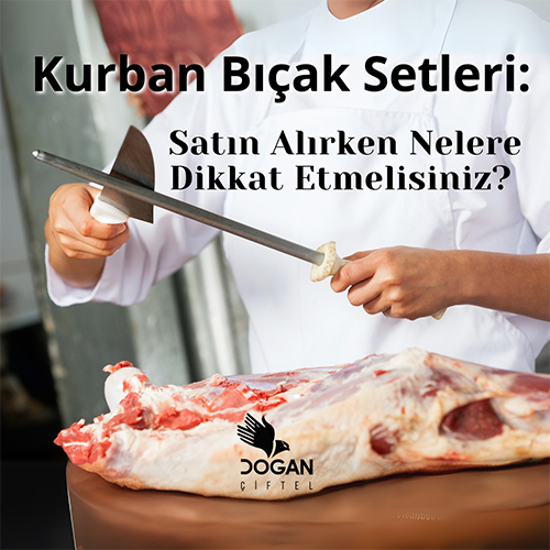 Kurban Bıçak Setleri: Satın Alırken Nelere Dikkat Etmelisiniz?