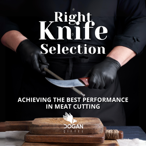 Right Knife Selection: Achieving the Best Performance in Meat Cutting