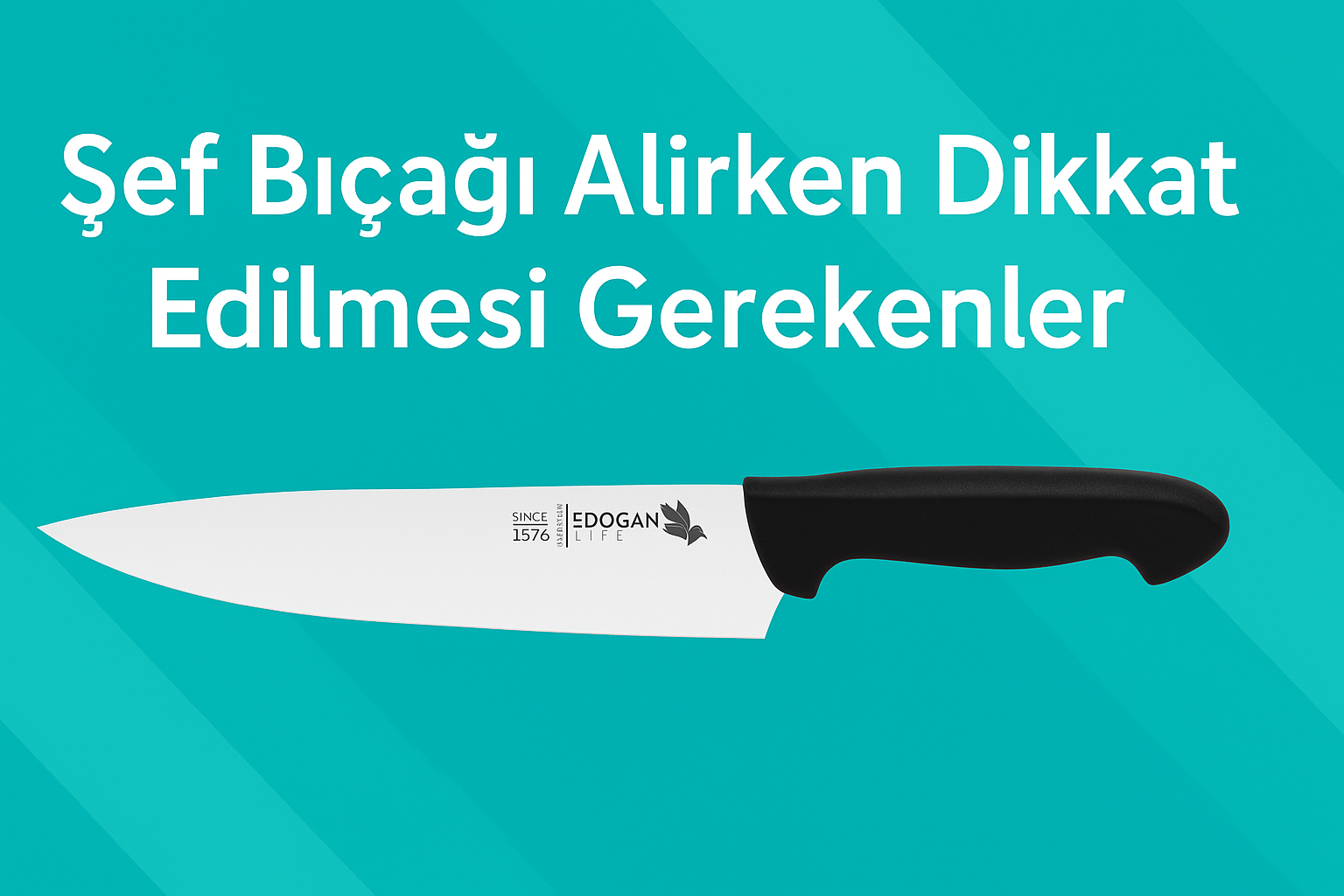 Şef Bıçağı Alırken Dikkat Edilmesi Gerekenler