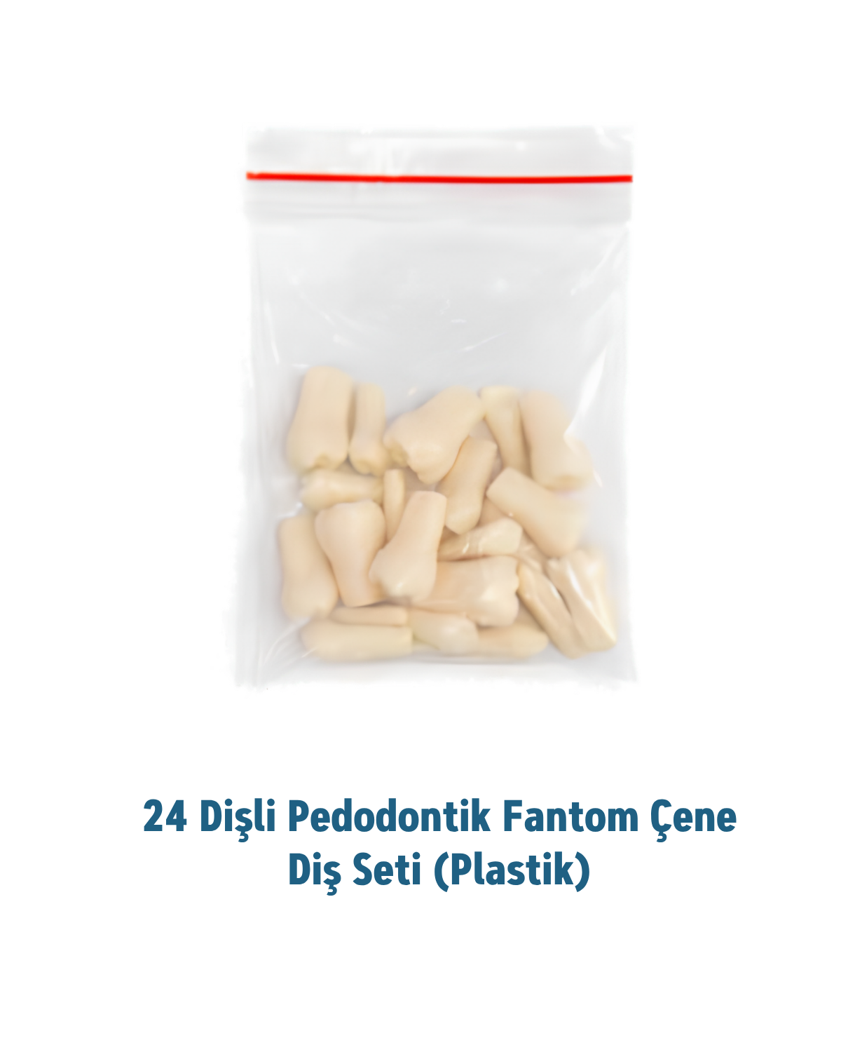 Mall Of Dent 24 Dişli Fantom Pedo Çene Diş Seti (Plastik)MALL OF DENTMall Of DENT 24LÜ YEDEK DİŞ SETİ - DENTAL CEPTE