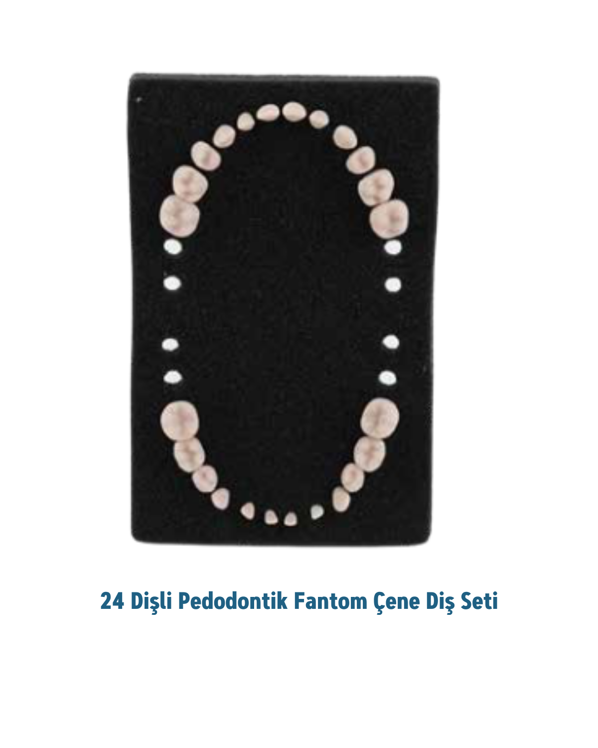 Mall Of Dent 24 Dişli Fantom Pedo Çene Diş Seti (Orijinal)MALL OF DENTMall Of Dent 24 Dişli Pedodontik yedek diş seti - DENTAL CEPTE