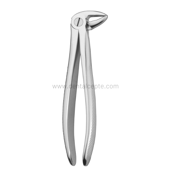 Perfect Alt Kök Küçük Azı Davyesi Fig.33