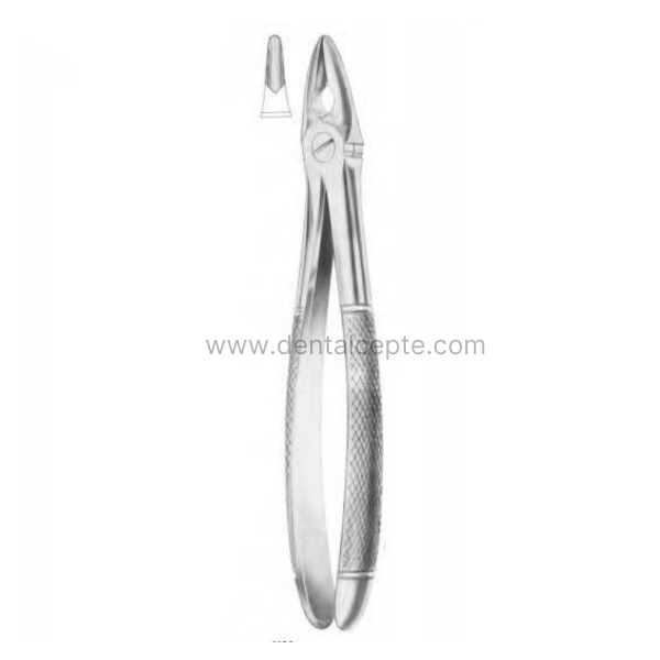 Perfect Üst  Anterior Davye (Ön Bölge ) Fig.066