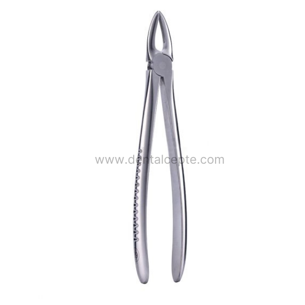 Perfect Üst Kök Davyesi Fig.29