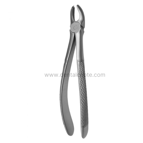 Perfect Üst Molar Sağ Kök Davyesi Fig.17