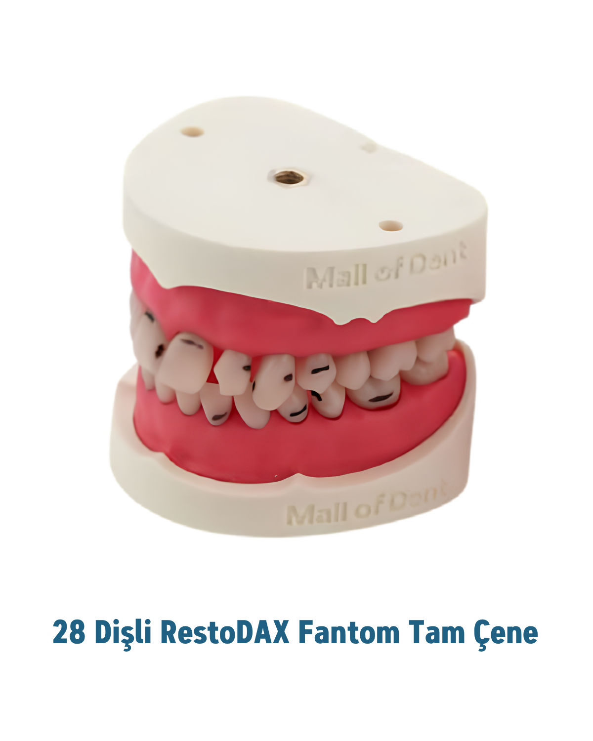 RestoDAX 28'lik Restoratif Fantom Tam ÇeneMALL OF DENT