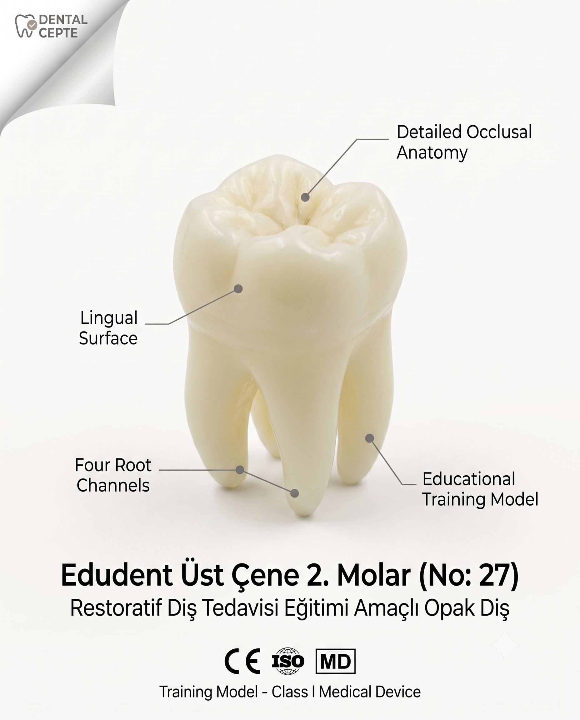RestoPrep 27 Numara Diş 1 AdetEDUDENT DENTALRestoPrep 27 Numara Diş 1 Adet - DENTAL CEPTE