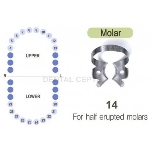 SHINGHUNG K-CLAMP NO: #14# RUBBERDAM KLEMP  (ALT-ÜST/SAĞ-SOL MOLAR)SHİNHUNGShinhung K-Clamp No: 14 Universal Molar Rubberdam Klembi | Dental Cepte