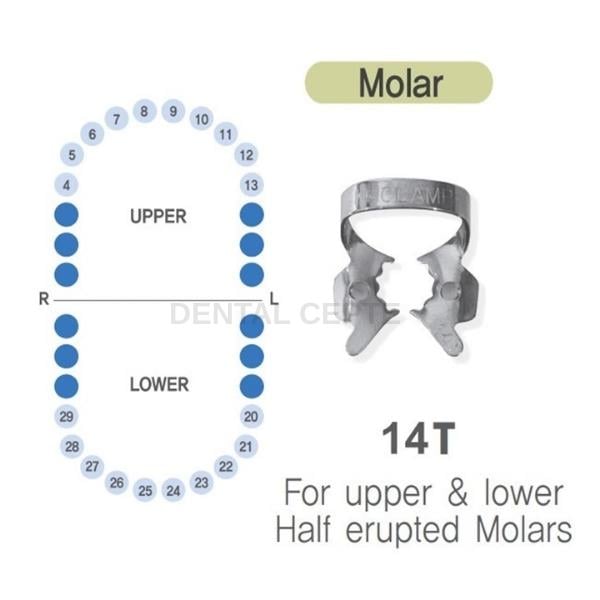 SHINGHUNG K-CLAMP NO: # 14T# RUBBERDAM KLEMP  TIGER DİŞLİ  (ALT-ÜST/SAĞ-SOL MOLAR)SHİNHUNGShinhung K-Clamp No: 14T Tiger Dişli Universal Molar Klemp | Dental Cepte