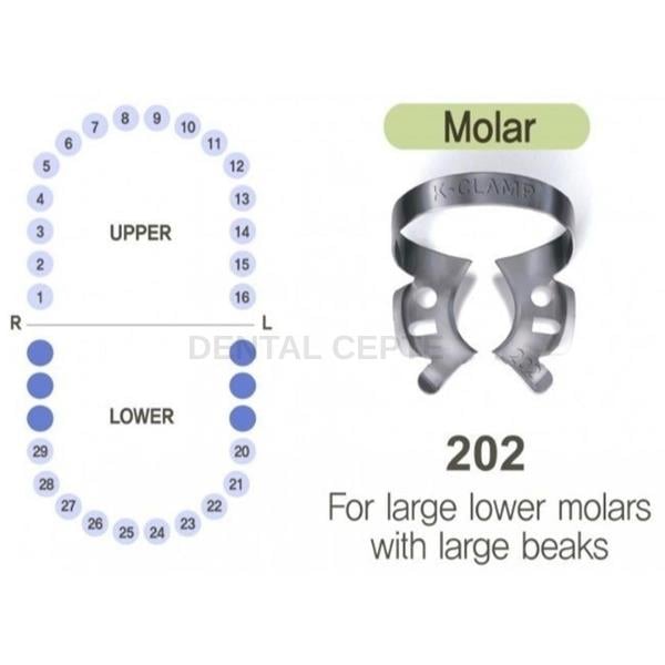 SHINGHUNG K-CLAMP NO: #202# RUBBERDAM KLEMP (ALT MOLAR SAĞ-SOL)SHİNHUNGShinhung K-Clamp #202 - Alt Sağ/Sol Molar İzolasyon Klembi - DENTAL CEPTE