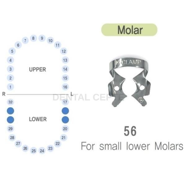 SHINGHUNG K-CLAMP NO: #56# RUBBERDAM KLEMP (ALT SAĞ-SOL KÜÇÜK MOLAR)SHİNHUNGShinhung K-Clamp No: 56 Rubberdam Klembi (Alt Molar) | Dental Cepte