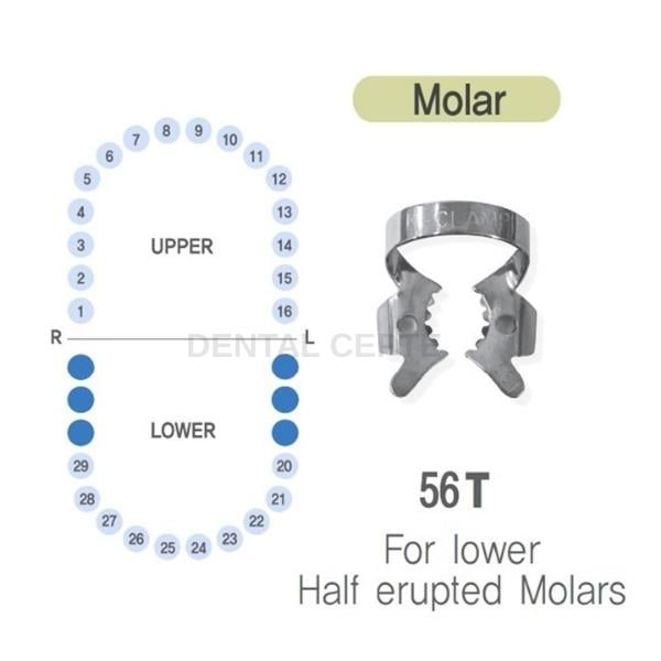 SHINGHUNG K-CLAMP NO: #56T# RUBBERDAM KLEMP 56T TIGER DİŞLİ (ALTSAĞ-SOL MOLAR)SHİNHUNGShinhung K-Clamp No: 56 Rubberdam Klembi (Alt Molar)Shinhung K-Clamp #56T - Alt Sağ/Sol Tırtıklı Rubberdam Klembi