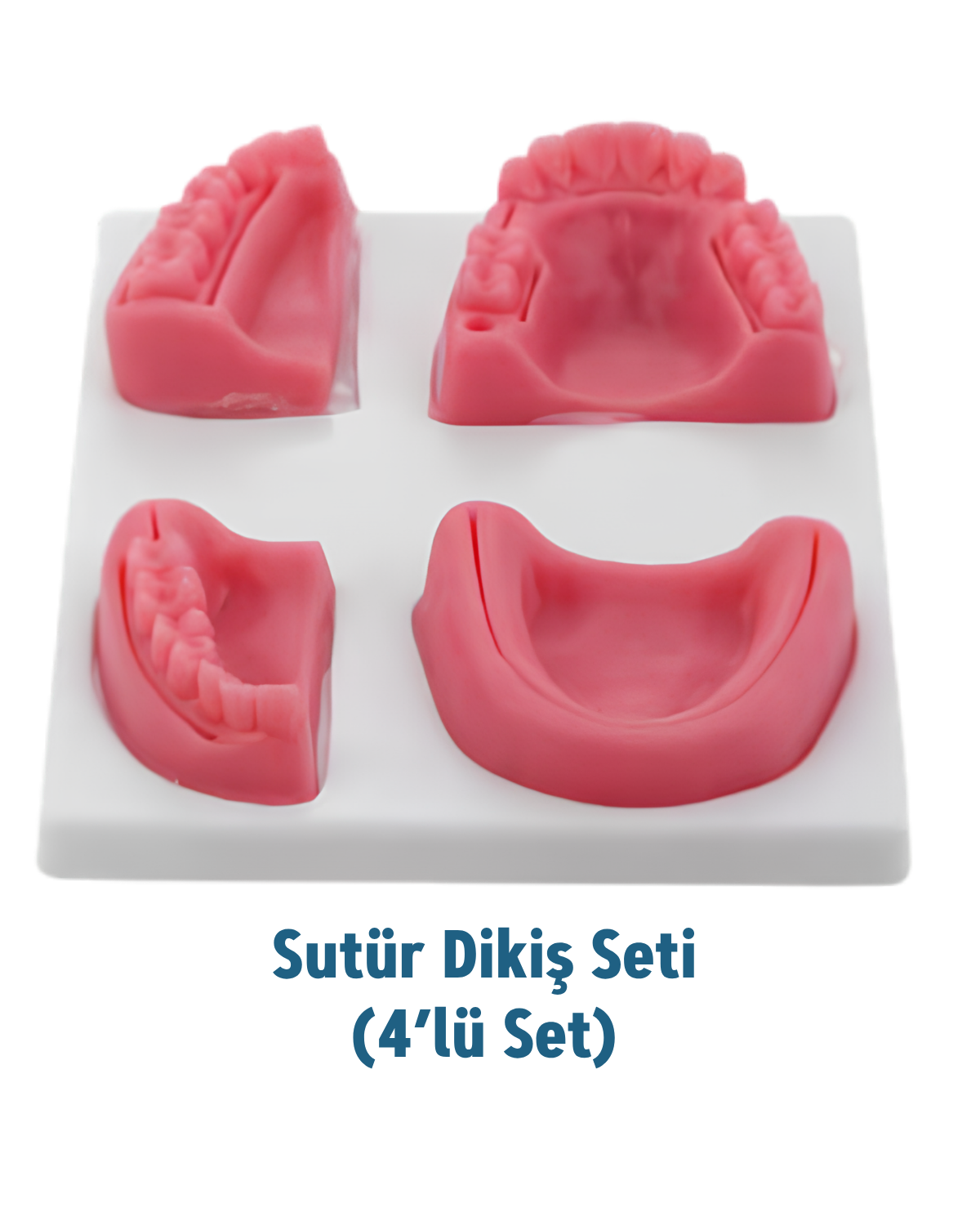 Sutür Dikiş Seti (4'lü Set)MALL OF DENTSutür Dikiş Seti (4’lü Set) - DENTAL CEPTE