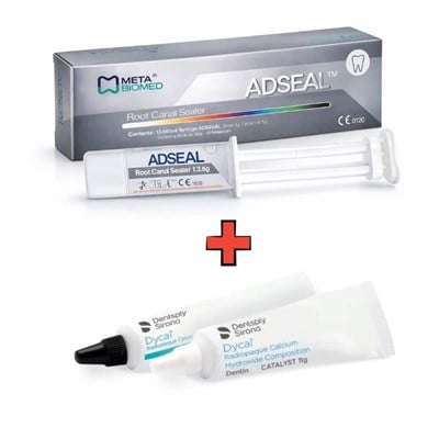 Adseal Kanal Dolgu Simanı + Dycal Kalsiyum Hidroksit SetDENTSPLY SİRONA