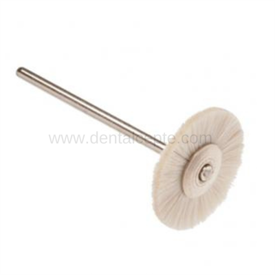 Kıl Fırça - Piyasemen İçin