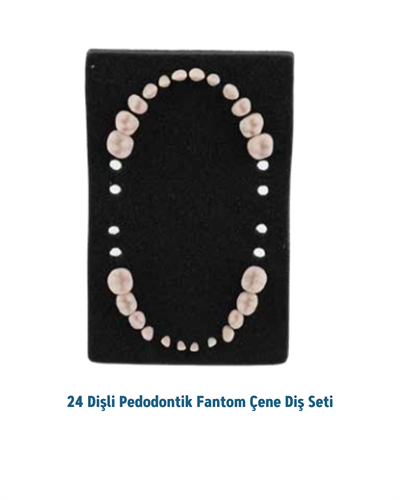Mall Of Dent 24 Dişli Fantom Pedo Çene Diş Seti (Orijinal)MALL OF DENTMall Of Dent 24 Dişli Pedodontik yedek diş seti - DENTAL CEPTE
