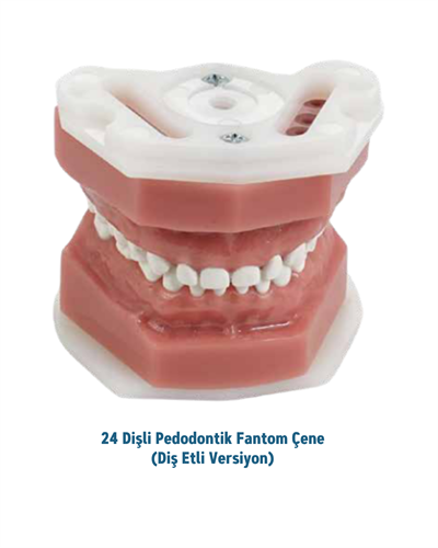 Mall Of Dent 24 Dişli Fantom Pedodontik Çene (Diş Etli Versiyon)MALL OF DENT24 Dişli Pedodonti Fantom Çene Modeli (Diş Etli) - DENTAL CEPTE