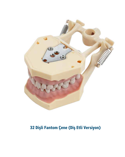 Mall Of Dent (DAX ) 32 Dişli Fantom Çene ( Diş Etli )MALL OF DENTMall Of Dent (DAX ) 32 Dişli Fantom Çene ( Diş Etli )