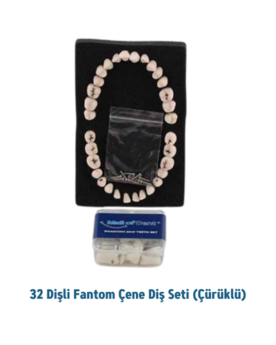 Mall Of Dent ( Dax) 32 lik Fantom Çene Diş Seti (Çürüklü )MALL OF DENT