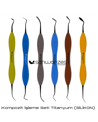 SCHWARZES Kompozit İşleme Seti Titanyum (Silikon) 6'lıSCHWARZES SCHWARZES Kompozit İşleme Seti Titanyum (Silikon) - DENTAL CEPTE
