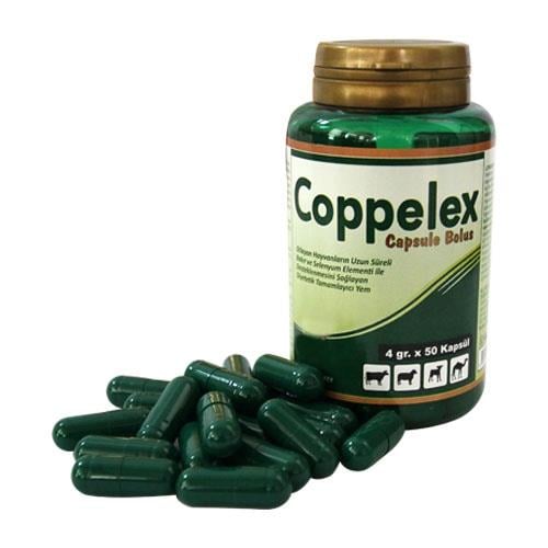 Coppelex kapsul