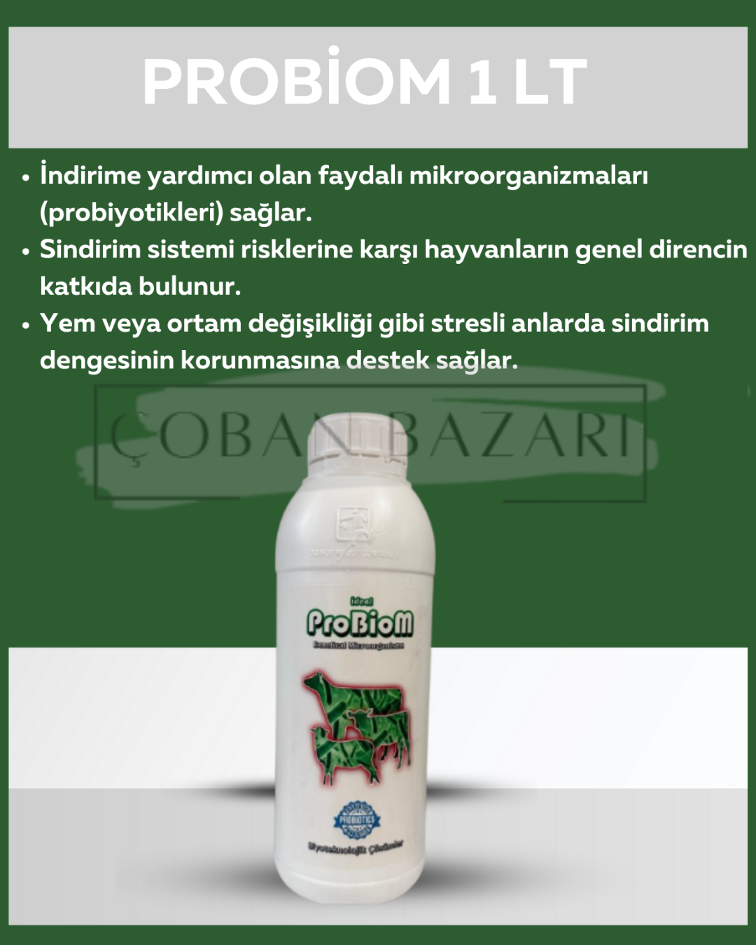 İdeal Probiom 1 Lt