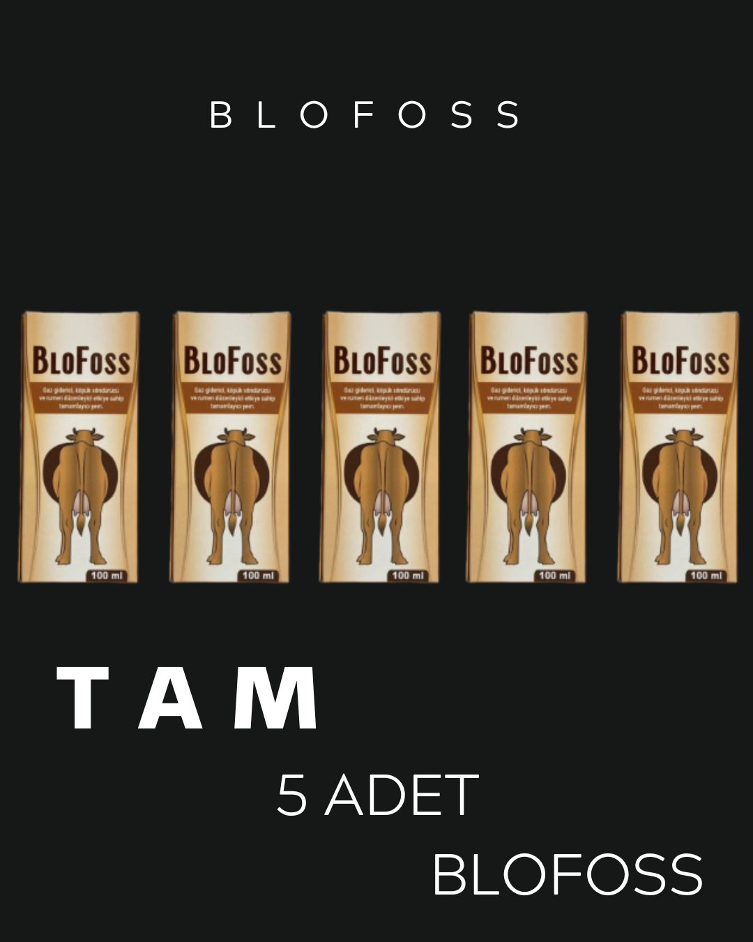 ROYAL İLAÇ 5 ADET BLOFOSS SİNDİRİM DÜZENLEYİCİ VE GAZ GİDERİCİ ŞURUP [Bİ TANESİ 100 ML ]