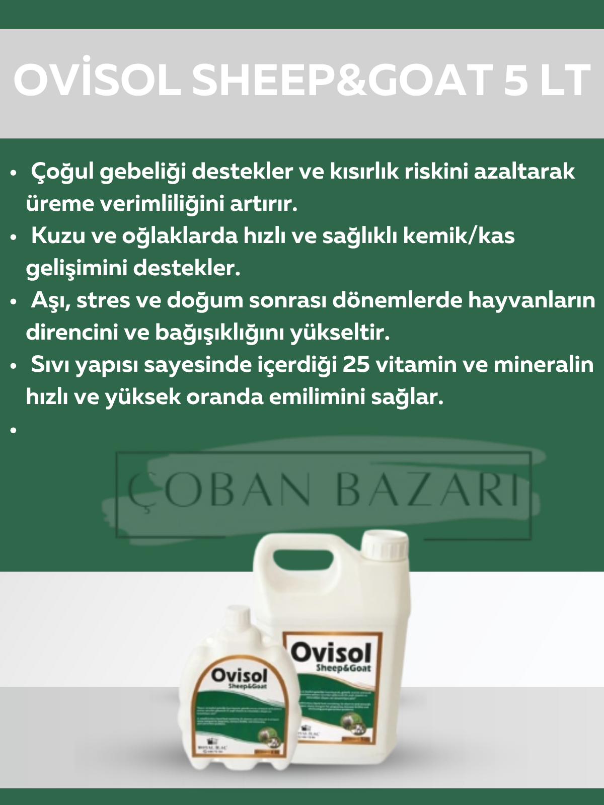 Royal İlaç Ovisol  Sheep&Goat Koyun ve Keçi Yem Katkısı 5 LT