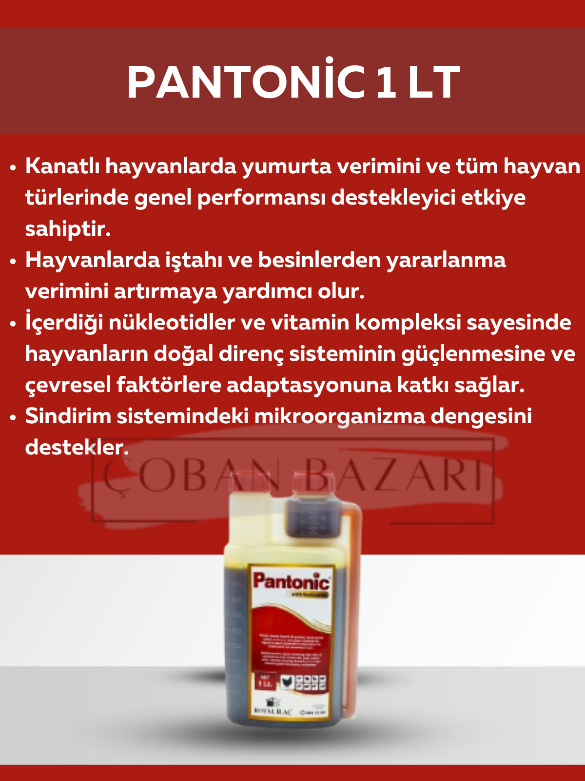 Royal İlaç Pantonic 1 Lt. Vitamin ve Mineral Desteği