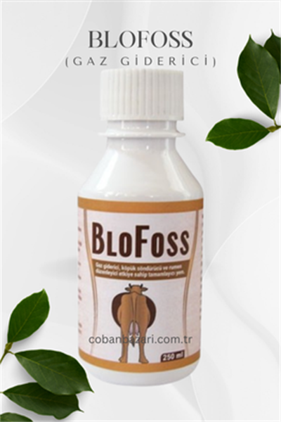Blofoss(Gaz Giderici)