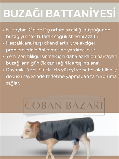 BUZAĞI BATTANİYESİ