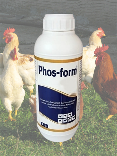 Phos Form Kanatlılarda Gagalama, Amino Asit Desteği ile Gelişim 1 lt