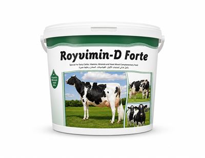 Royal Ilaç Royvimin D Forte 25KG