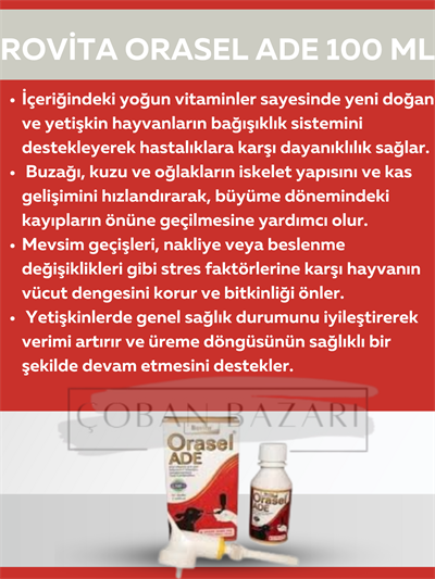 Royal Rovita Orasel ADE 100 Ml