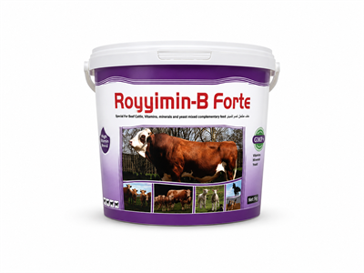 Royvimin D Forte 25 KG | Büyükbaş Süt Verimi Artırıcı Vitamin Premiksi
